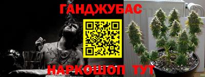 гидра Гусиноозёрск