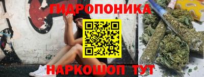 PSILOCYBIN Гусь-Хрустальный