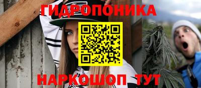 Альфа ПВП Гусев
