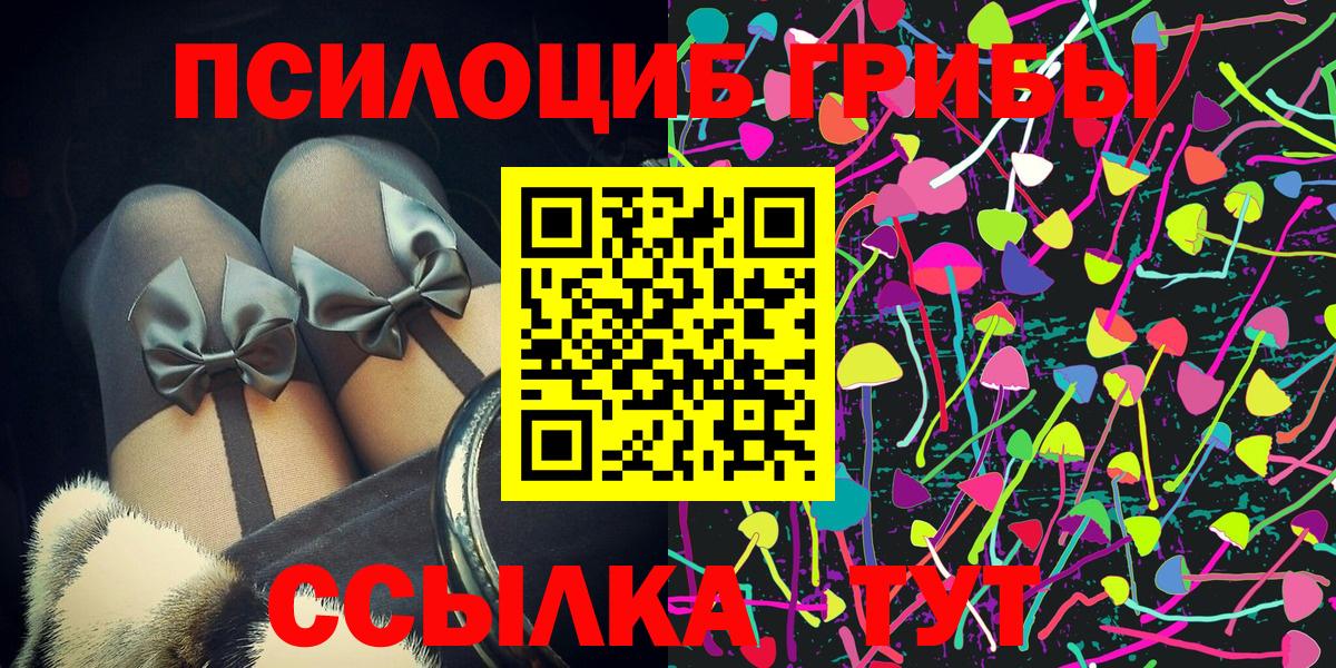 Псилоцибиновые грибы Psilocybe  Вход с VPN  Надым 